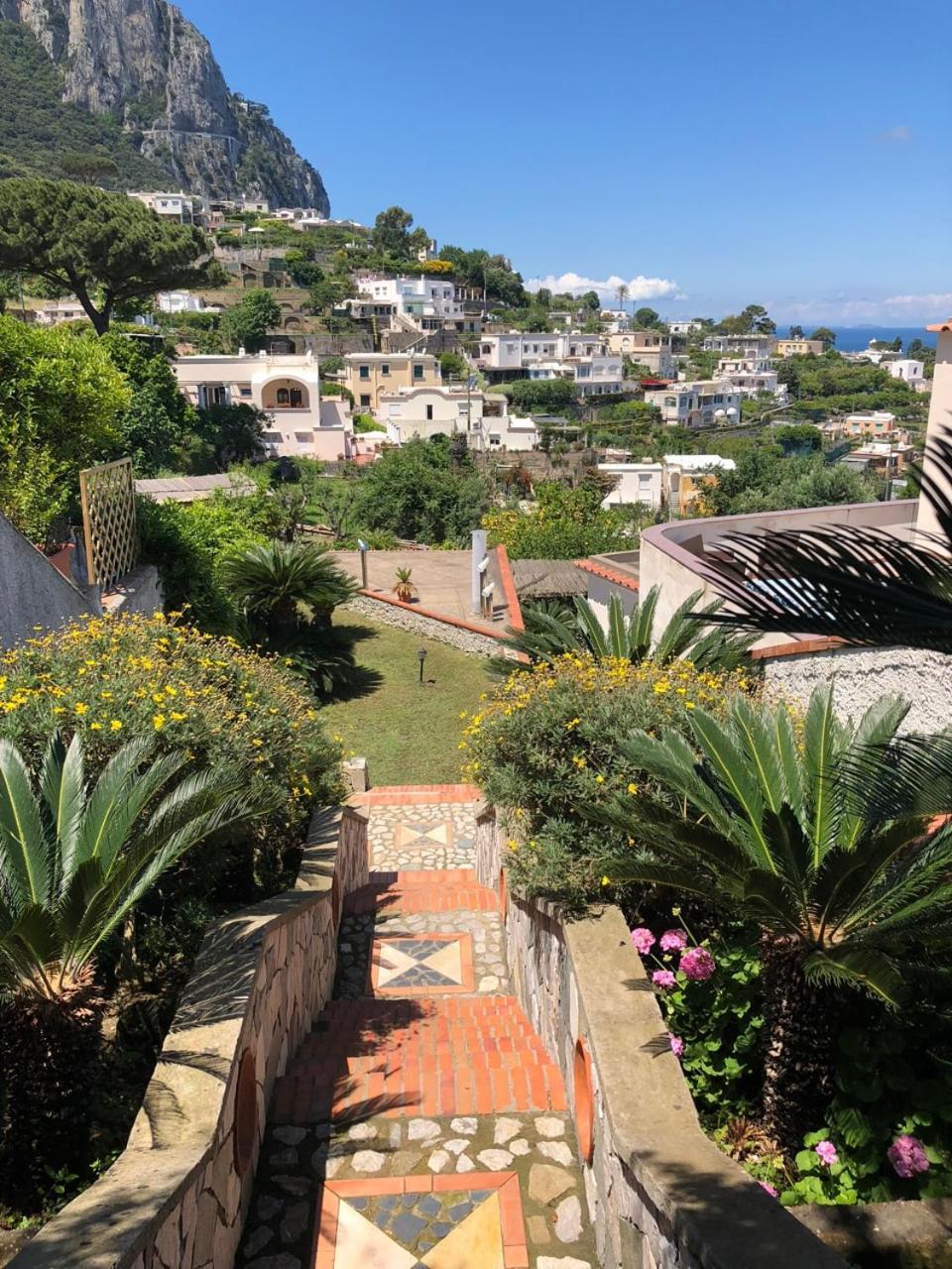 Villa Amalu Capri Piscina E Giardino Dış mekan fotoğraf